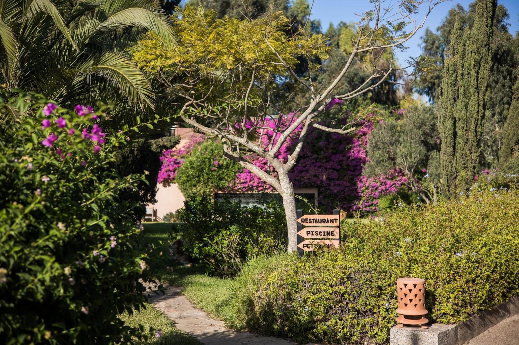 Bed and Breakfast Dar Maktoub Agadir Exterior foto